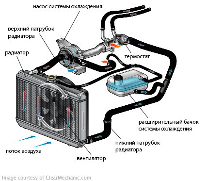Diagram of engine cooling system, its mandatory and optional components