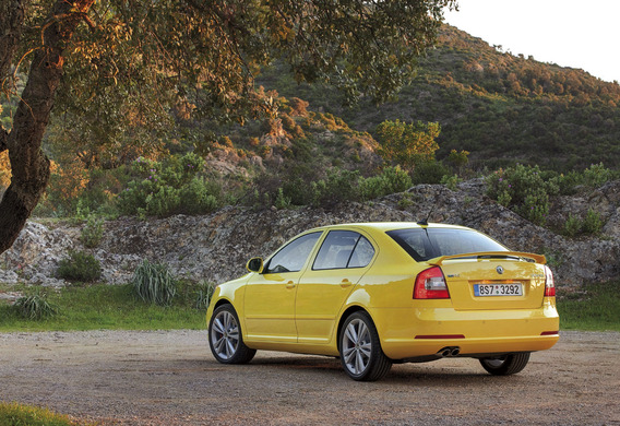 Skoda Octavia's rubber sealants